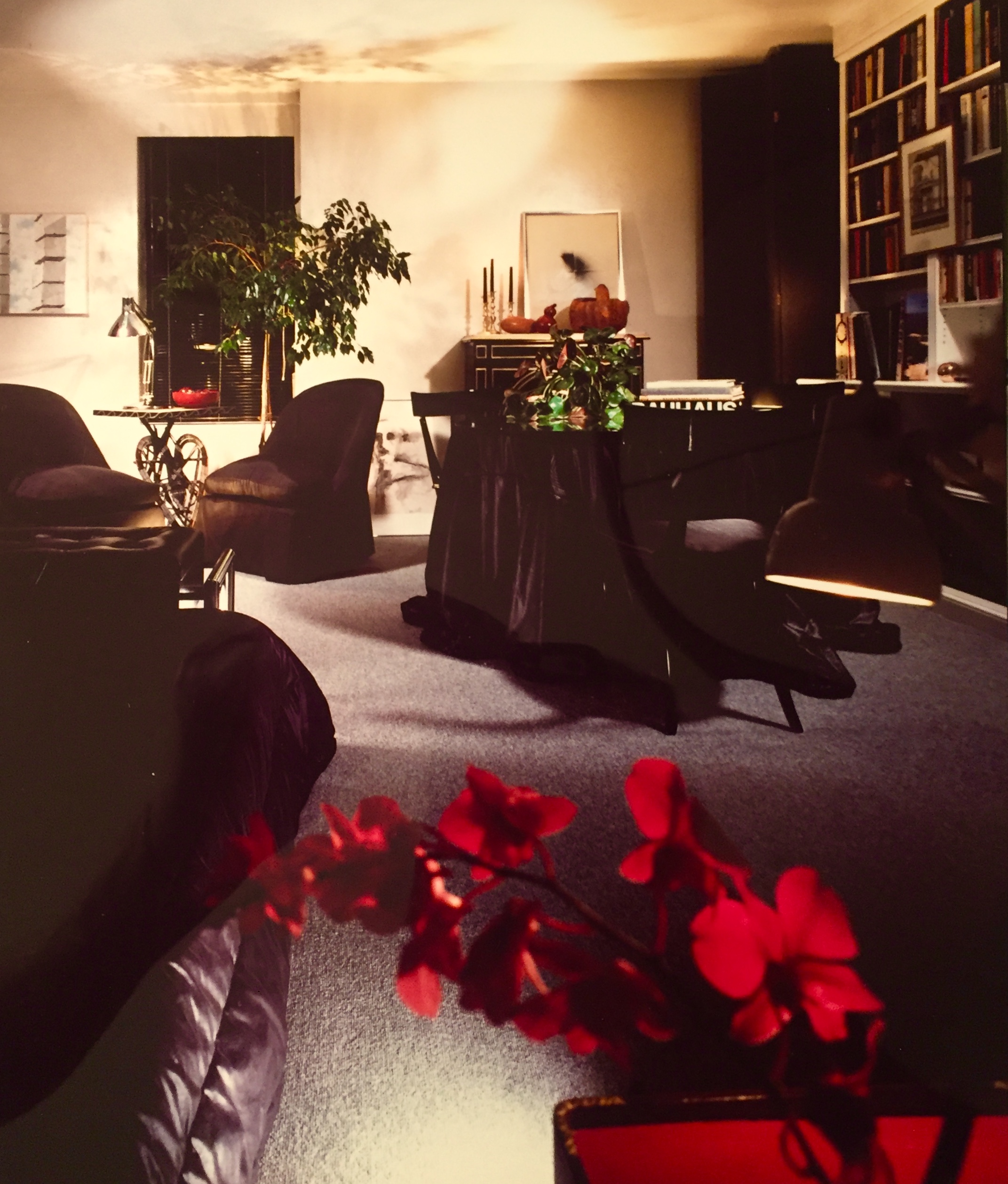 Ned Marshall Interiors